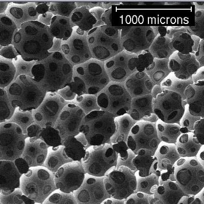 MEB picture of a foam which can be modeled using Horoshenkov et al. model
